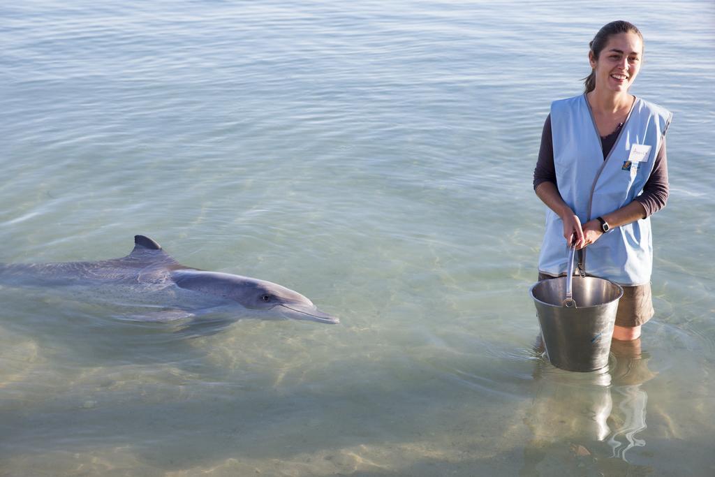 Rac Monkey Mia Dolphin Resort מראה חיצוני תמונה