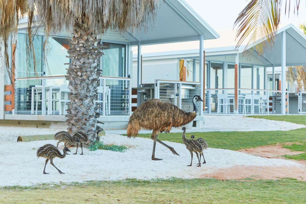 Rac Monkey Mia Dolphin Resort מראה חיצוני תמונה