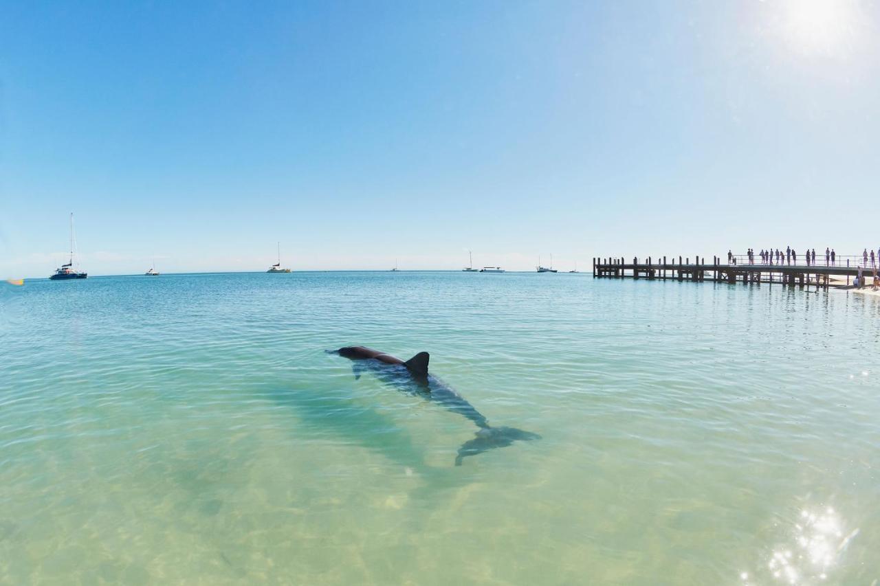Rac Monkey Mia Dolphin Resort מראה חיצוני תמונה