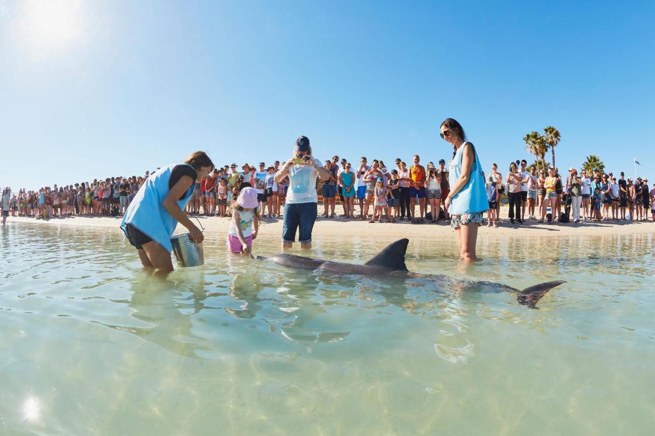 Rac Monkey Mia Dolphin Resort מראה חיצוני תמונה